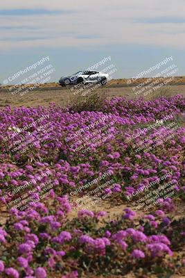 media/Jan-08-2023-SCCA SD (Sun) [[8f6a5b9391]]/Intermediate Group/Session 2 (Short Straight)/